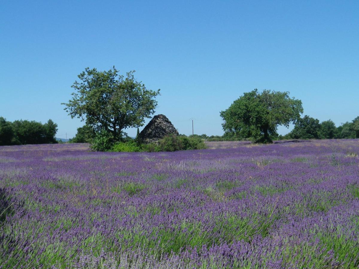 La Mordoree La Motte-d'Aigues Exteriér fotografie