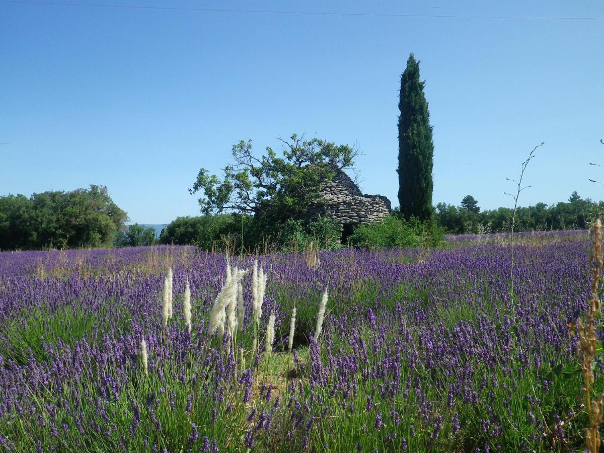 La Mordoree La Motte-d'Aigues Exteriér fotografie